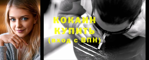 ПСИЛОЦИБИНОВЫЕ ГРИБЫ Михайлов