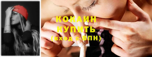 ПСИЛОЦИБИНОВЫЕ ГРИБЫ Михайлов