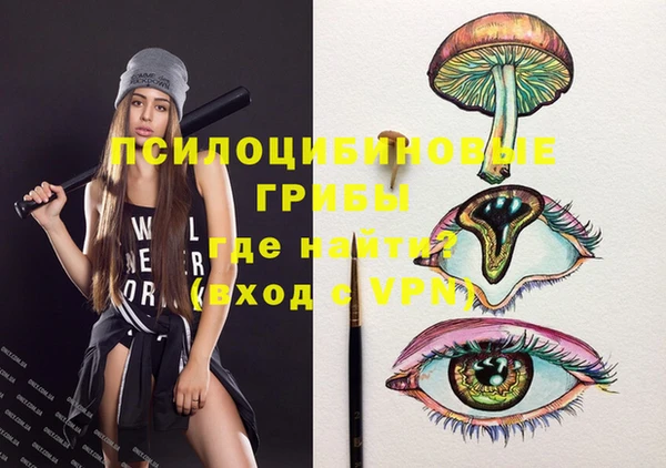 ПСИЛОЦИБИНОВЫЕ ГРИБЫ Михайлов