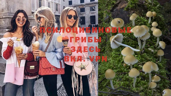 ПСИЛОЦИБИНОВЫЕ ГРИБЫ Михайлов