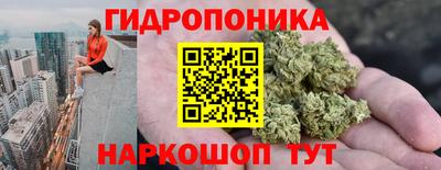 бошки Волгодонск