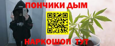 амф Бийск