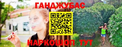 амф Бийск