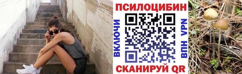 цена   Зеленогорск  Галлюциногенные грибы прущие грибы 