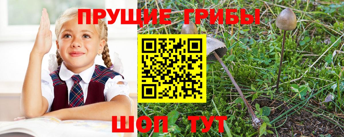 Альфа ПВП СОЛЬ   ЭКСТАЗИ  Зеленогорск  МЕФ кристаллы  ГАШ  ГАШ  Вход с VPN 