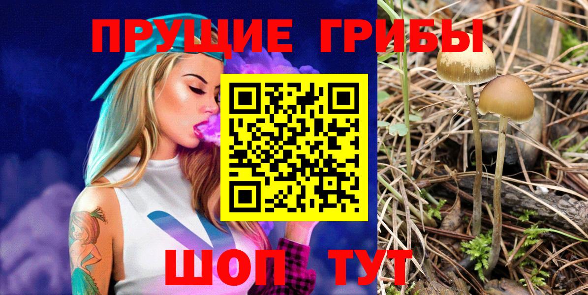 Галлюциногенные грибы Cubensis Зеленогорск