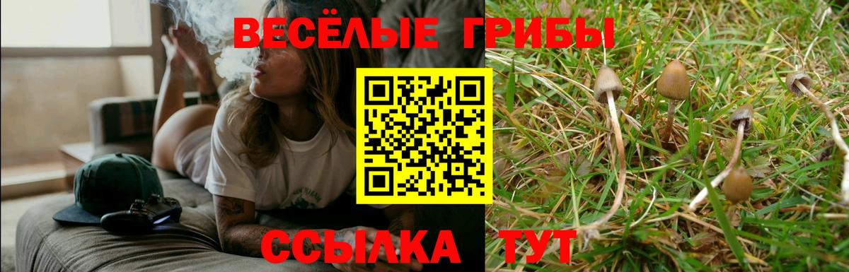 Галлюциногенные грибы мухоморы  Зеленогорск  Псилоцибиновые грибы MAGIC MUSHROOMS 